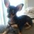 Alice Mary's profile image