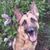 Nancy Dement's profile image