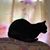 Cindi Vian's profile image
