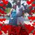 Patrick McCardell's profile image