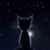 Amy Burdick's profile image