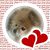 Joy Skarness Johnson's profile image