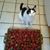 Carol Janssen's profile image