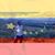 Pedro F. Ortiz's profile image