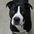 Chris Eyles's profile image