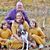 Stephen Wardle's profile image
