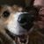 Candee Stull's profile image