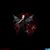 Lorraine Fox's profile image