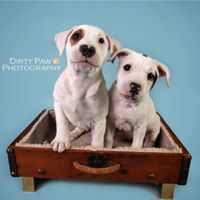 Ann-Marie Thacker Johnson's profile image