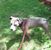 Terry Vernon's profile image