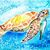 Rise Mac Whirter Tyloch's profile image