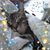 Marketa Ketenbrink's profile image