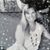 Robin Lohr's profile image