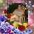 Danay Zoe Cohen's profile image