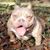 Elquinzie Scott's profile image