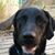Sue Burdette's profile image