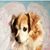 Julie Saavedra's profile image