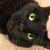Andrew Kaplan's profile image