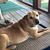 Kate Deane's profile image