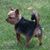 Tammie Kessinger's profile image