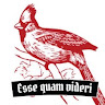 Tribune P.'s profile image