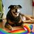 Brian Ellswood's profile image