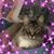 Tina Nichols's profile image