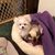 Barbara Curran's profile image