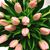 Rasha Alsalih's profile image