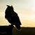 Kim Clements's profile image