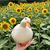 Shannon McBride Davis's profile image