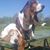 Bill Anderson's profile image