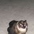 Robin Ott Patterson's profile image