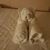 Dana Shy-Marquart's profile image