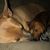 Trudi Paugh-Walter's profile image