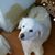 Leslie Kerr's profile image