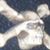 Jose Flores's profile image