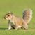 Michael Jones's profile image
