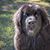 Beth Bartholomew's profile image