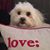 Linda Campbell's profile image