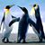 Sandra Earnest's profile image