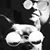 Barbara Richter's profile image