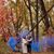 Kailee Lafer's profile image