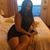 Sonia Soto's profile image