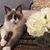 Katherine Weston's profile image