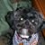 Judy Mueller's profile image