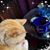 Robin Ansley Martin's profile image