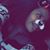 Amanda Polanco's profile image