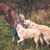 Emily Raddatz's profile image