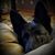 Cheryl Bowden Simoni's profile image